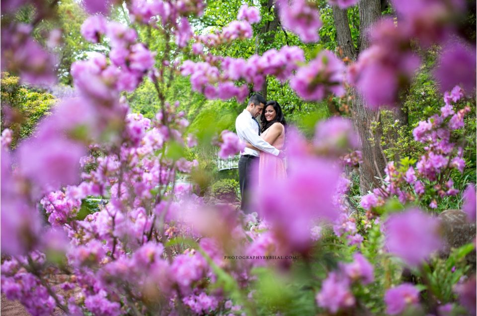 Engagement photos at Sayen Gardens